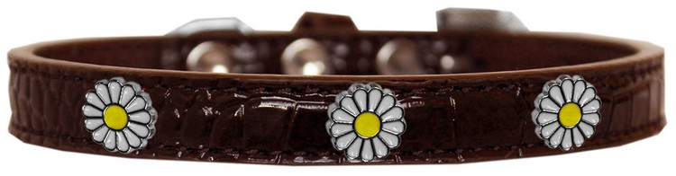 White Daisy Widget Croc Dog Collar Chocolate Size 10